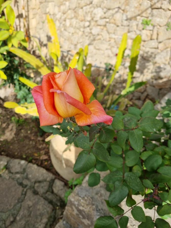 Villa Sul Molo Tra Siracusa E Catania Augusta Eksteriør billede